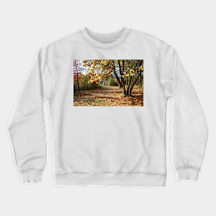 Autumnal trees Crewneck Sweatshirt